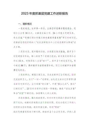 2023年度抓基层党建工作述职报告.docx