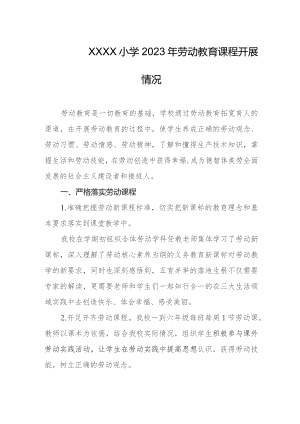 小学2023年劳动教育课程开展情况.docx