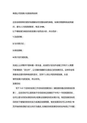 啤酒公司发展计划表使用说明.docx