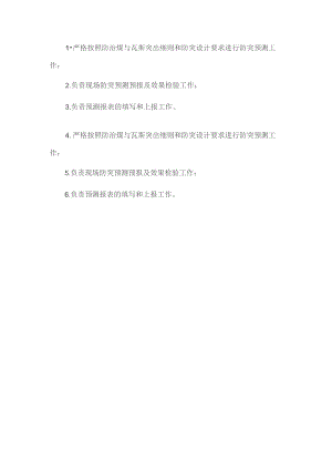 防突员岗位职责.docx