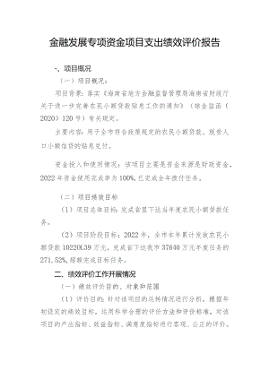 金融发展专项资金项目支出绩效评价报告.docx