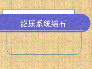 泌尿系统结石.ppt