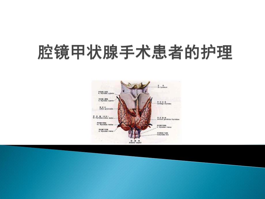 腔镜甲状腺手术.ppt_第1页