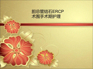 胆总管结石ERCP术围手术期护理.ppt
