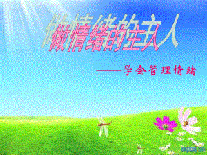 情绪调节的方法.ppt.ppt