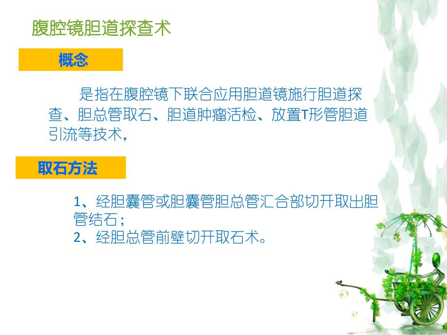 腹腔镜胆囊切除术胆总管切开取石术的手术配合.ppt_第3页