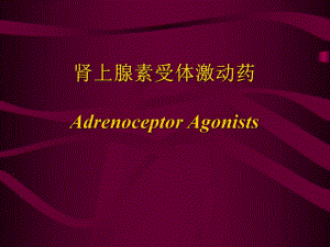拟肾上腺素药.ppt