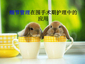 细节管理在神经外科护理中的应用.ppt