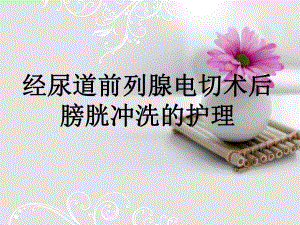 经尿道前列腺电切术后膀胱冲洗的护理.ppt
