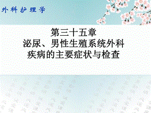 第三十五章泌尿、男性生殖系统外科疾病的主要症状与检查.ppt