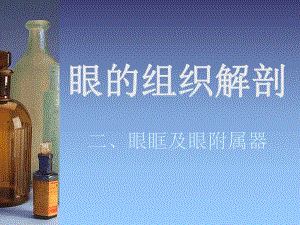 眼眶组织解剖.ppt.ppt