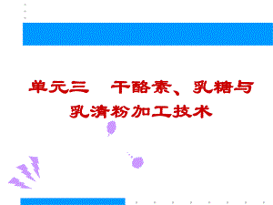 培训讲座PPT干酪素乳糖与乳清粉加工技术.ppt