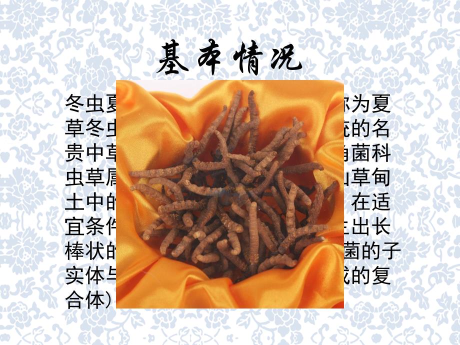 名贵中药材虫草.ppt_第2页