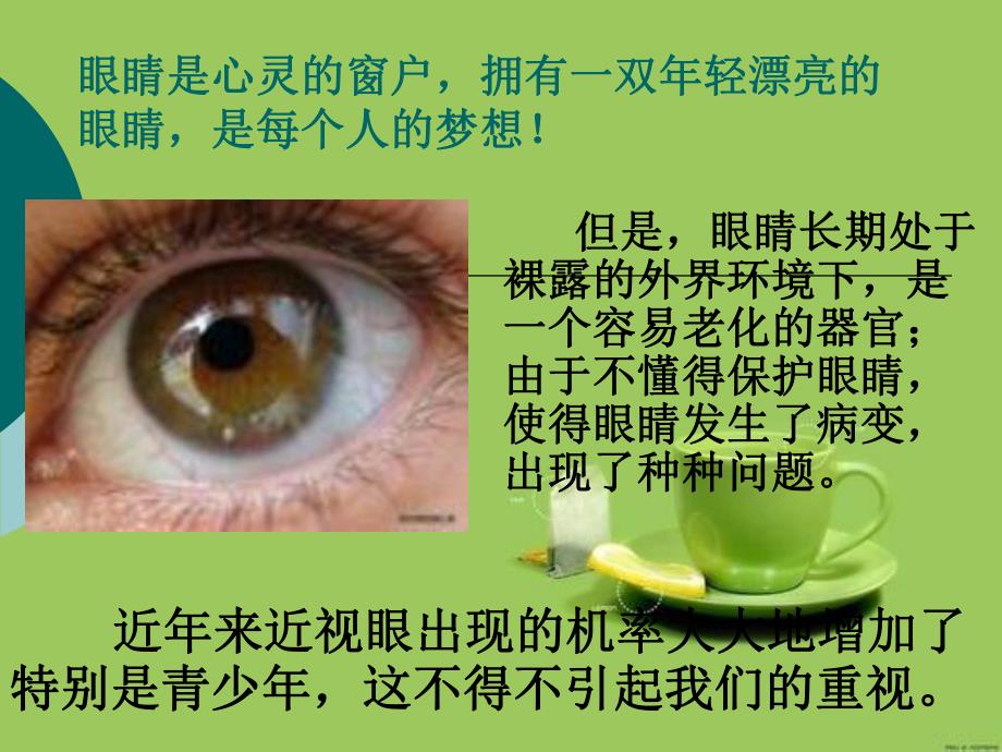 近视眼的形成与预防.ppt.ppt_第2页