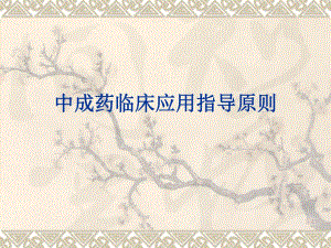 中成药临床应用指导原则.ppt