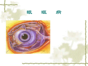 眼眶病专题培训讲座PPT.ppt
