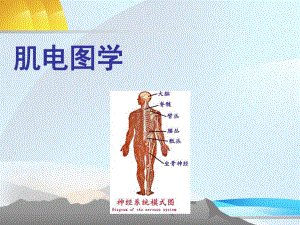 肌电图学.ppt