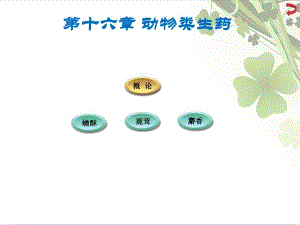 第章动物类生药精要.ppt