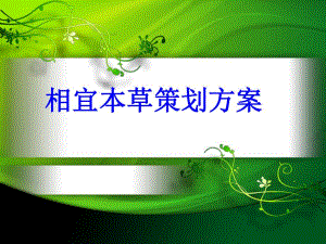 相宜本草策划方案.ppt