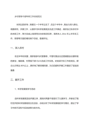 乡村领导干部年终工作总结范文.docx