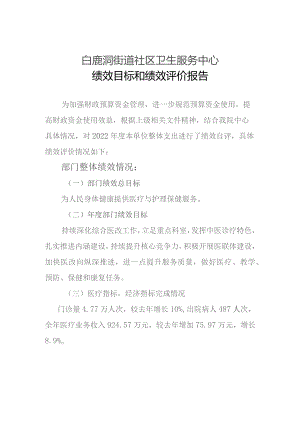 白鹿洞街道社区卫生服务中心绩效目标和绩效评价报告.docx