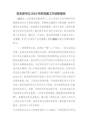 党支部书记2023年抓党建工作述职报告2500字.docx