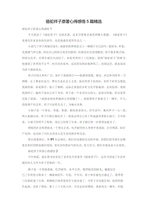 骆驼祥子原著心得感悟5篇精选.docx