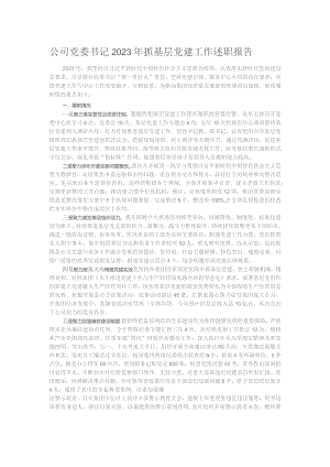 公司党委书记2023年抓基层党建工作述职报告.docx