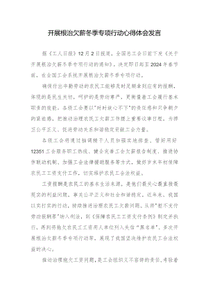 组织开展根治欠薪冬季专项行动心得体会发言2篇.docx