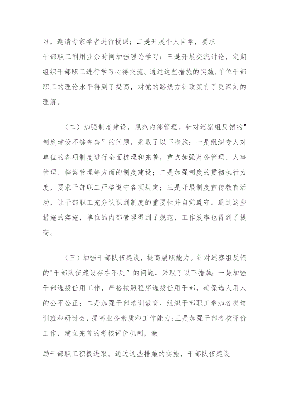 巡察整改工作主要负责人组织落实情况报告.docx_第2页