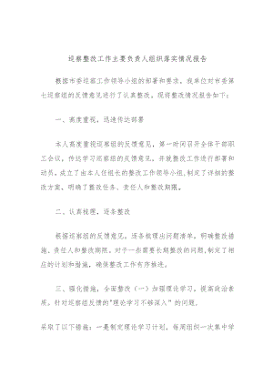 巡察整改工作主要负责人组织落实情况报告.docx
