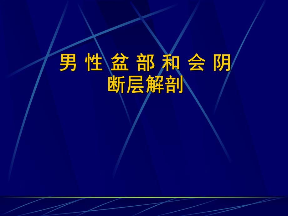 男性盆部和会阴断层解剖.ppt_第1页