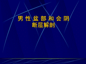 男性盆部和会阴断层解剖.ppt