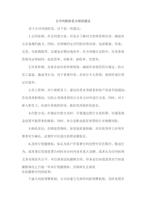 公司风险防范方面的建议.docx