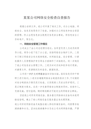 某某公司网络安全检查自查报告.docx