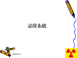 泌尿系统解剖及其影像检查方法.ppt