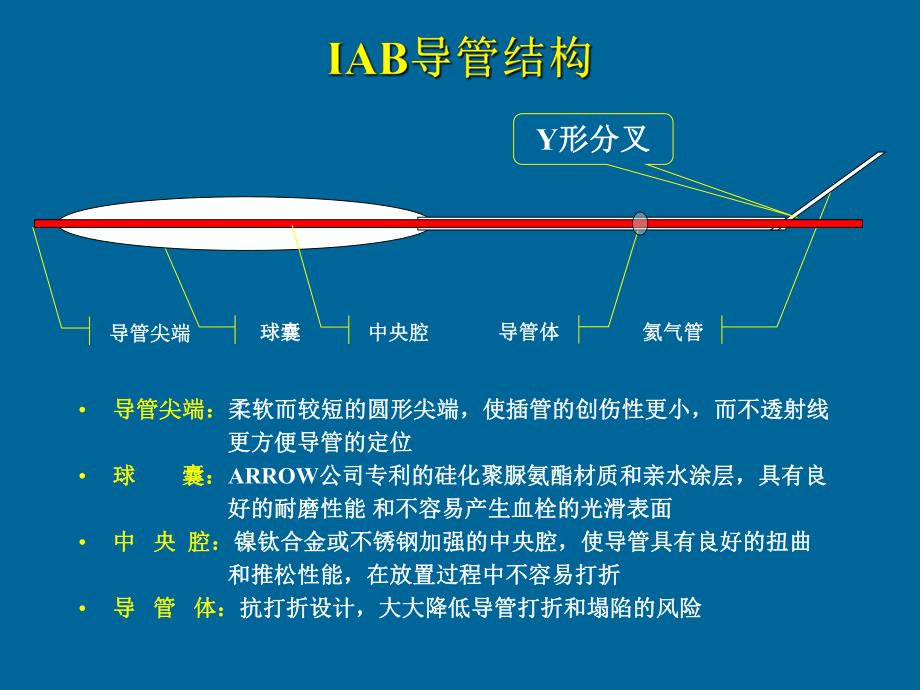 IABC穿刺流程1.ppt_第3页
