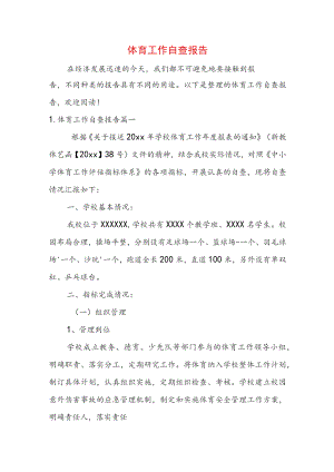 体育工作自查报告.docx