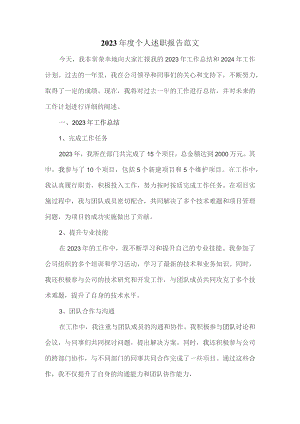 2023年度个人述职报告范文3.docx