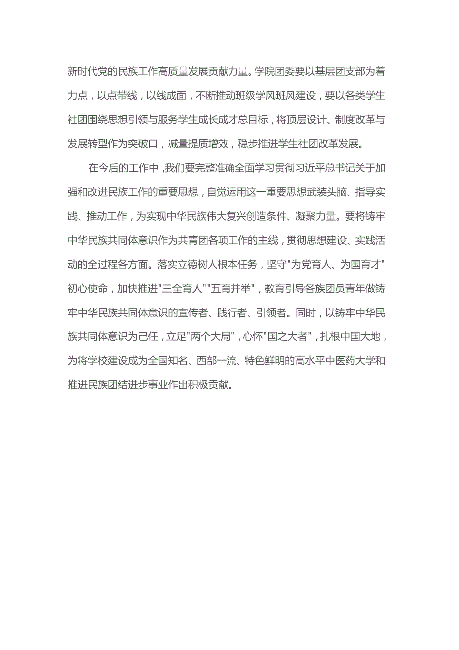 民族工作心得体会:铸牢中华民族共同体意识 推进共青团工作行稳致远.docx_第3页