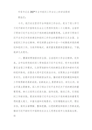 市委书记在2023年全市组织工作会议上的讲话提纲.docx