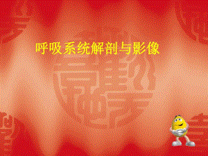 呼吸系统解剖与影像.ppt