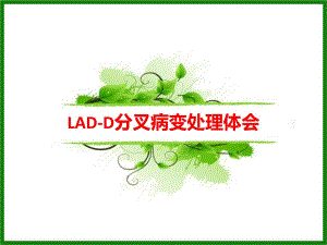 分叉病变处理体会.ppt