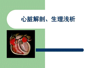 心脏解剖、生理浅析.ppt