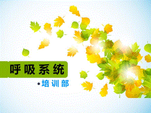呼吸系统生理解剖.ppt