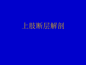 上肢断层解剖.ppt
