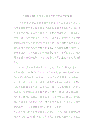 主题教育组织生活会会前学习研讨交流发言提纲.docx