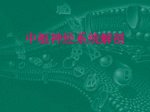 中枢神经系统解剖.ppt