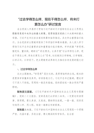 主题教育“三问”“过去学得怎么样、现在干得怎么样、将来打算怎么办”研讨发言.docx