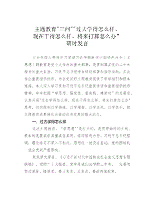 主题教育“三问”“过去学得怎么样、现在干得怎么样、将来打算怎么办”研讨发言.docx